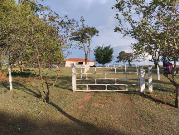 Imagem Fazenda à Venda, 726 m² em Vila Tazitsu - Presidente Prudente Imagem Fazenda à Venda, 726 m² em Vila Tazitsu - Presidente Prudente