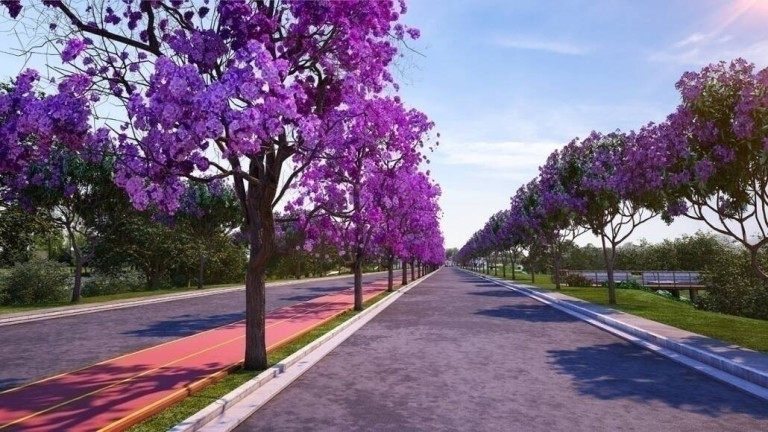 Imagem Terreno em Condomínio à Venda, 250 m² em Altos De Caucaia (caucaia Do Alto) - Cotia Imagem Terreno em Condomínio à Venda, 250 m² em Altos De Caucaia (caucaia Do Alto) - Cotia