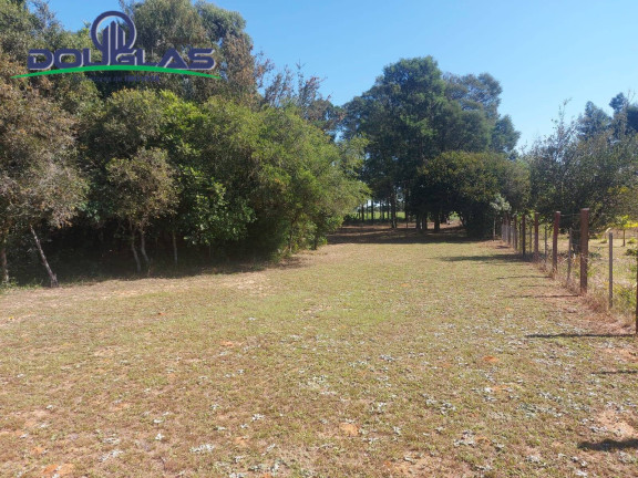 Imagem Chácara com 2 Quartos à Venda, 11.000 m² em Viamão Imagem Chácara com 2 Quartos à Venda, 11.000 m² em Viamão