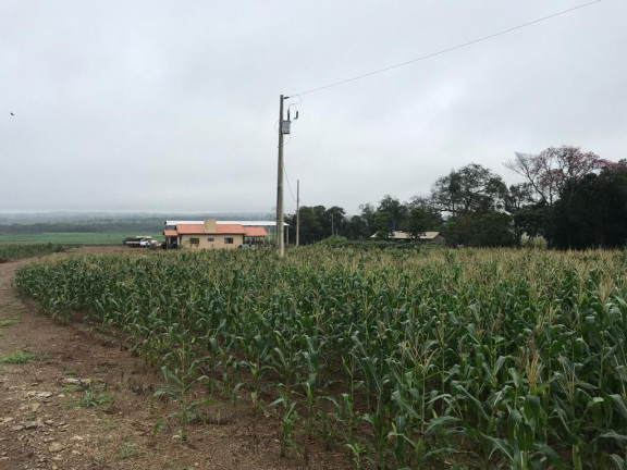 Imagem Fazenda à Venda, 750 m² em Rural - Bela Vista Imagem Fazenda à Venda, 750 m² em Rural - Bela Vista