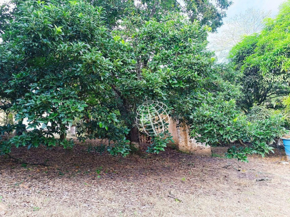 Imagem Chácara com 3 Quartos à Venda, 250 m² em Rio Abaixo - Atibaia Imagem Chácara com 3 Quartos à Venda, 250 m² em Rio Abaixo - Atibaia