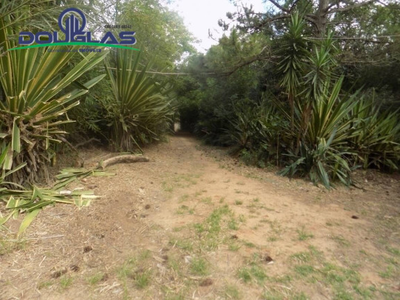 Imagem Imóvel Comercial à Venda, em Viamão Imagem Imóvel Comercial à Venda, em Viamão