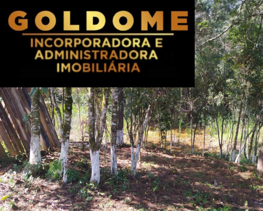Imagem Casa com 2 Quartos à Venda, 100 m² em Canelao - Itaperuçu Imagem Casa com 2 Quartos à Venda, 100 m² em Canelao - Itaperuçu