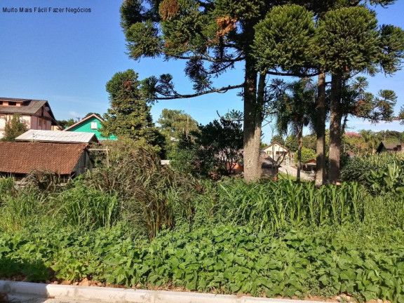 Terreno à Venda, 362 m² em Pinhal Alto - Nova Petrópolis