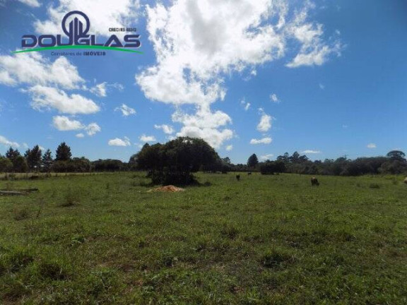Imagem Terreno à Venda, 1.100 m² em águas Claras - Viamão Imagem Terreno à Venda, 1.100 m² em águas Claras - Viamão