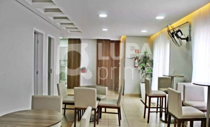 Imagem Apartamento com 2 Quartos à Venda, 45 m² em Itaquera - São Paulo Imagem Apartamento com 2 Quartos à Venda, 45 m² em Itaquera - São Paulo