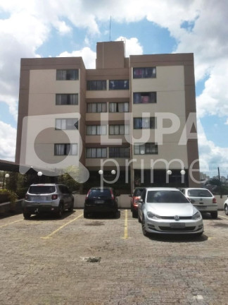 Imagem Apartamento com 2 Quartos à Venda, 57 m² em Lauzane Paulista - São Paulo