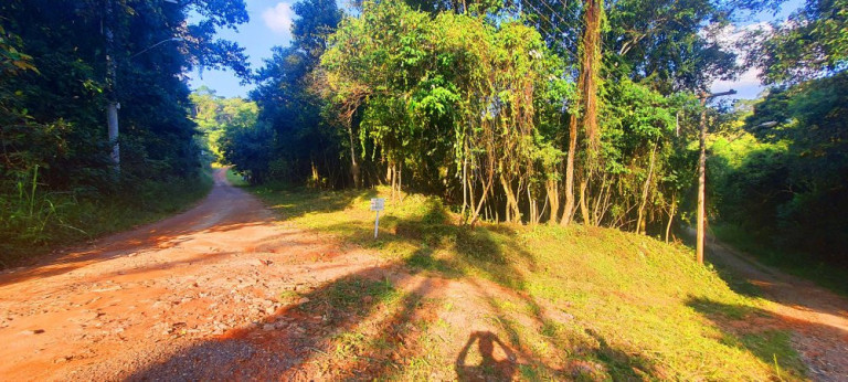 Imóvel à Venda, 282 m² em Loteamento Bosque Dos Palmares - Atibaia