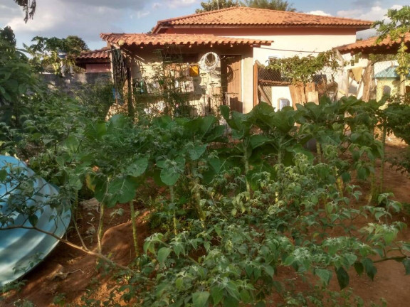 Imagem Chácara com 2 Quartos à Venda, 2.048 m² em Bairro Do Cercado - Araçoiaba Da Serra Imagem Chácara com 2 Quartos à Venda, 2.048 m² em Bairro Do Cercado - Araçoiaba Da Serra