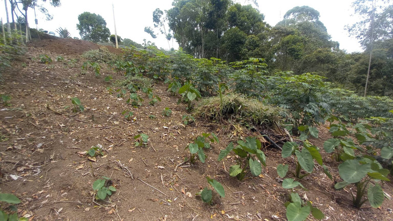Imagem Terreno à Venda, 900 m² em Centro - Nova Friburgo Imagem Terreno à Venda, 900 m² em Centro - Nova Friburgo