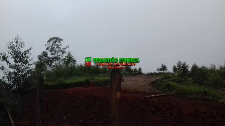 Imagem Chácara à Venda, 3 m² em Centro - Monteiro Lobato Imagem Chácara à Venda, 3 m² em Centro - Monteiro Lobato