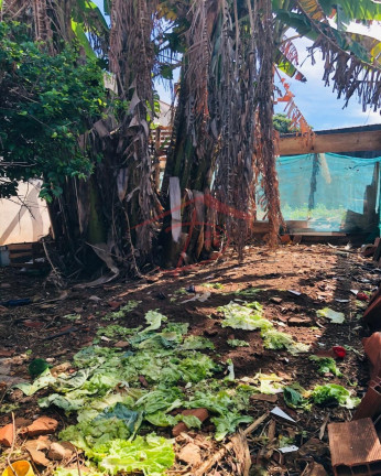 Imagem Imóvel à Venda, 200 m² em Parque Cidade Campinas - Campinas Imagem Imóvel à Venda, 200 m² em Parque Cidade Campinas - Campinas