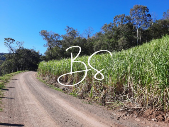 Imagem Imóvel à Venda, 59.000 m² em Rochedo - Igrejinha Imagem Imóvel à Venda, 59.000 m² em Rochedo - Igrejinha