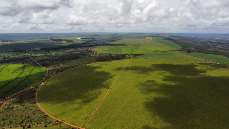 Imagem Fazenda à Venda, 1.300 m² em Zona Rural - Planaltina Imagem Fazenda à Venda, 1.300 m² em Zona Rural - Planaltina
