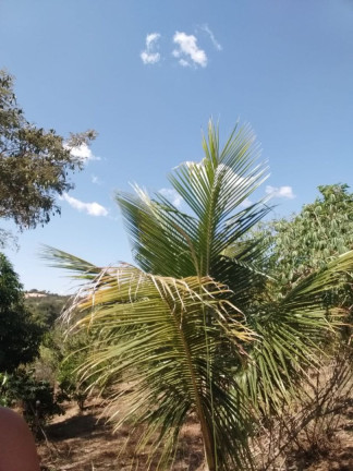 Imagem Imóvel com 2 Quartos à Venda, 10.000 m² em Cancelinha - Esmeraldas