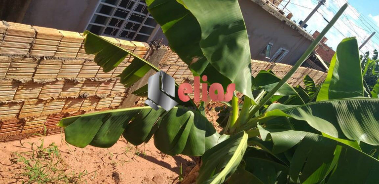 Imagem Terreno à Venda, 252 m² em Jardim Ivone - Bauru Imagem Terreno à Venda, 252 m² em Jardim Ivone - Bauru
