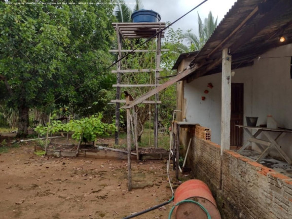 Imagem Chácara à Venda, 5.000 m² em Areia Branca - Porto Velho Imagem Chácara à Venda, 5.000 m² em Areia Branca - Porto Velho