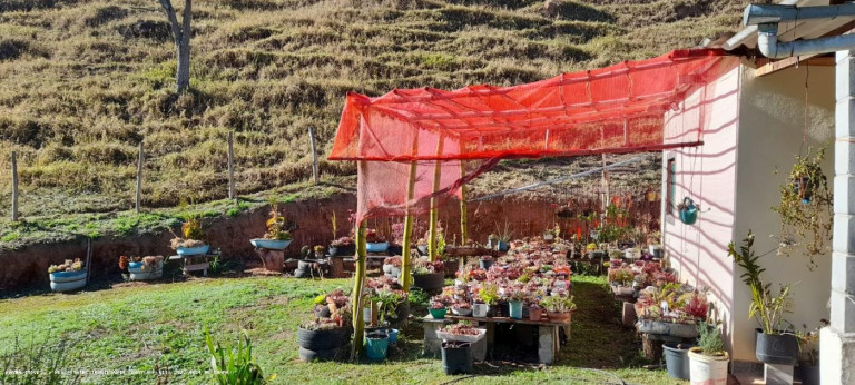 Imagem Chácara à Venda, em Ferreira - Nazaré Paulista Imagem Chácara à Venda, em Ferreira - Nazaré Paulista