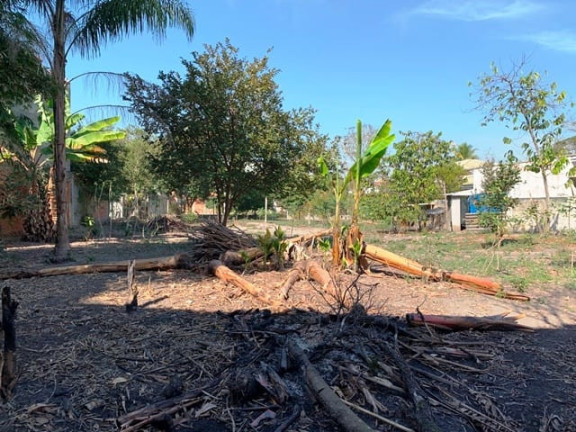 Imagem Terreno à Venda, 1.860 m² em Crispim - Pindamonhangaba