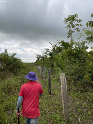 Imagem Fazenda à Venda, 1.400 m² em Alenquer Imagem Fazenda à Venda, 1.400 m² em Alenquer