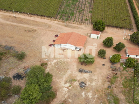 Imagem Fazenda à Venda, em área Rual - Petrolina Imagem Fazenda à Venda, em área Rual - Petrolina