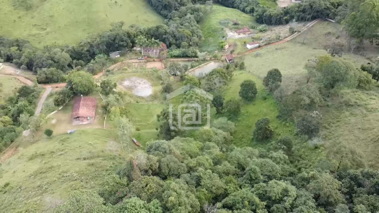 Imagem Imóvel com 3 Quartos à Venda, 15.000 m² em Amendoim - Caldas Imagem Imóvel com 3 Quartos à Venda, 15.000 m² em Amendoim - Caldas