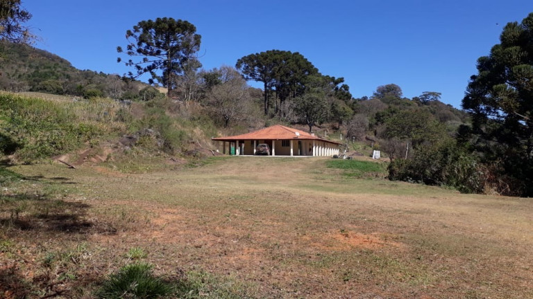 Imagem Imóvel com 3 Quartos à Venda, 365 m² em Correntes Munhoz - Munhoz Imagem Imóvel com 3 Quartos à Venda, 365 m² em Correntes Munhoz - Munhoz