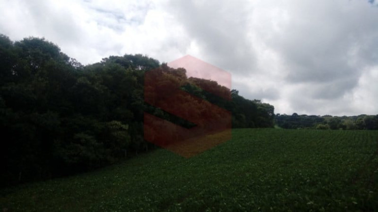 Imagem Chácara com 1 Quarto à Venda, 1 m² em Morro Do Cal - Campo Largo
