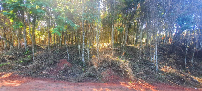 Imagem Imóvel à Venda, 700 m² em Recanto Dos Palmares - Atibaia