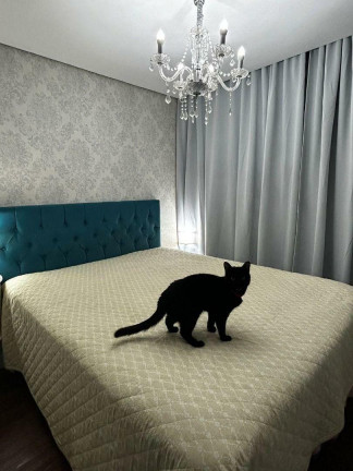 Imagem Apartamento com 3 Quartos à Venda, 107 m² em Parque Da Mooca - São Paulo