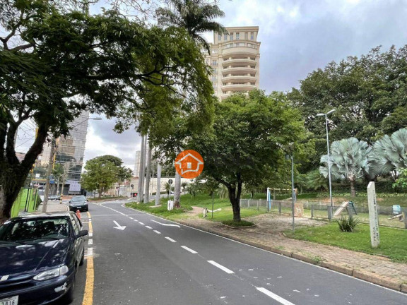 Imagem Terreno à Venda ou Locação, 295 m² em Cambuí - Campinas Imagem Terreno à Venda ou Locação, 295 m² em Cambuí - Campinas