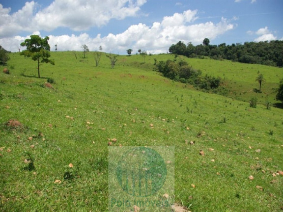 Imagem Imóvel com 4 Quartos à Venda, 1.694.000 m² em Zona Rural - Jacui