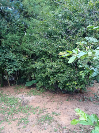 Imagem Casa com 3 Quartos à Venda, 1.020 m² em Jardim Centenário - Atibaia