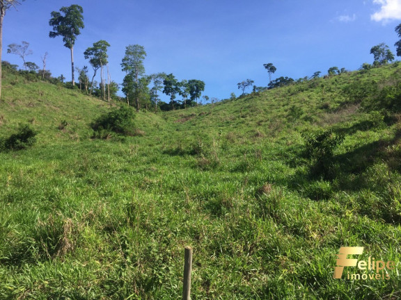 Imagem Imóvel com 1 Quarto à Venda, 113 m² em área Rural De Linhares - Cariacica