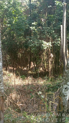 Imagem Terreno à Venda, 5.200 m² em Moreiras - Mairinque Imagem Terreno à Venda, 5.200 m² em Moreiras - Mairinque