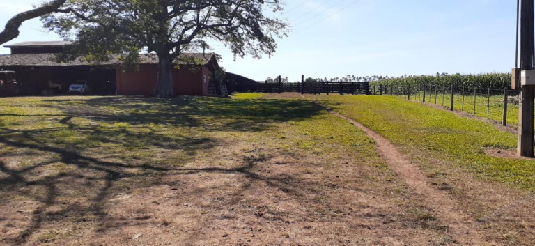 Imagem Fazenda à Venda, 158 m² em Rural - Avaré Imagem Fazenda à Venda, 158 m² em Rural - Avaré