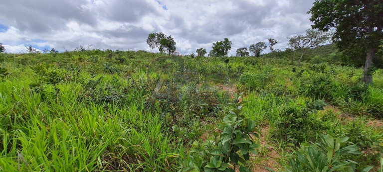 Imagem Terreno à Venda, 22 m² em área Rural Do Norte De Minas - Montes Claros