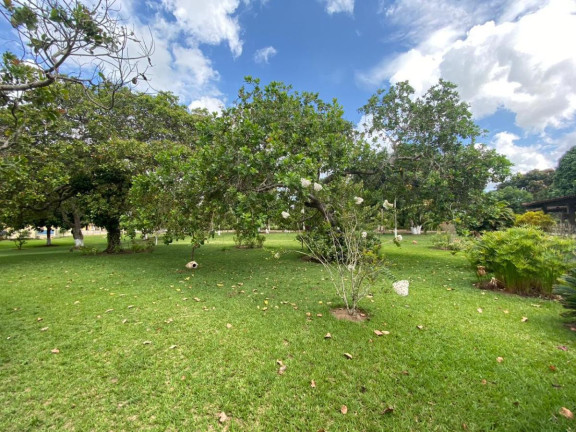 Imagem Imóvel com 4 Quartos à Venda, 30.500 m² em Cachoeira - Salvador Imagem Imóvel com 4 Quartos à Venda, 30.500 m² em Cachoeira - Salvador
