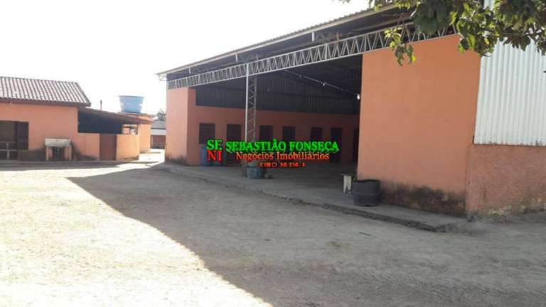 Imagem Fazenda à Venda, 1.200 m² em área Rural De Xinguara - Xinguara