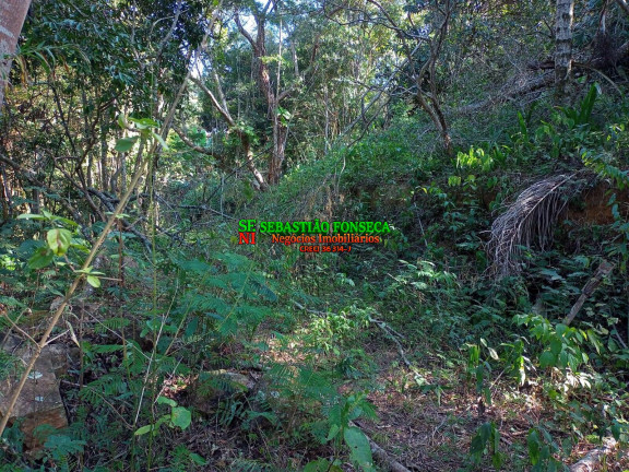 Imagem Chácara à Venda, 5.000 m² em Canaã Ll - Jambeiro Imagem Chácara à Venda, 5.000 m² em Canaã Ll - Jambeiro