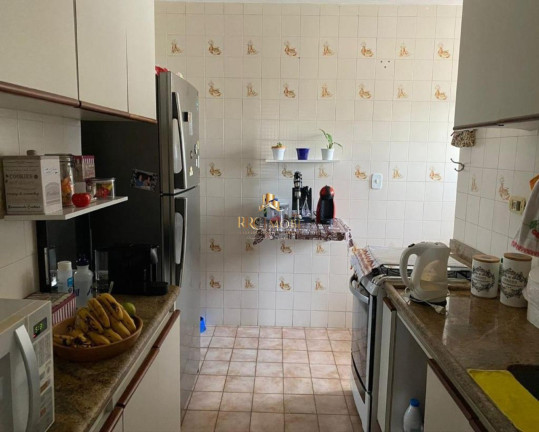 Imagem Apartamento com 2 Quartos à Venda, 58 m² em Vila Santa Catarina - São Paulo Imagem Apartamento com 2 Quartos à Venda, 58 m² em Vila Santa Catarina - São Paulo