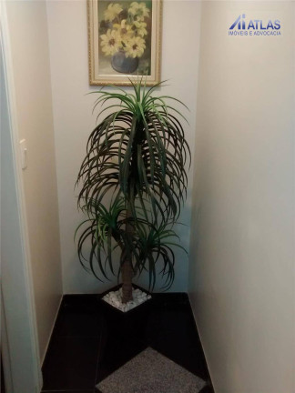 Imagem Apartamento com 3 Quartos à Venda, 148 m² em Vila Maria Alta - São Paulo
