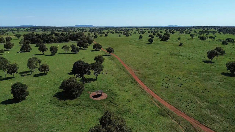 Imagem Fazenda à Venda, 242 m² em Zona Rural - Araguapaz Imagem Fazenda à Venda, 242 m² em Zona Rural - Araguapaz