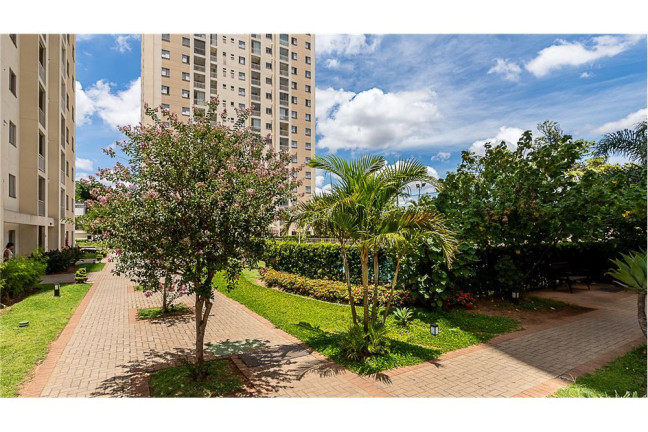Imagem Apartamento com 3 Quartos à Venda, 65 m² em água Branca - São Paulo Imagem Apartamento com 3 Quartos à Venda, 65 m² em água Branca - São Paulo