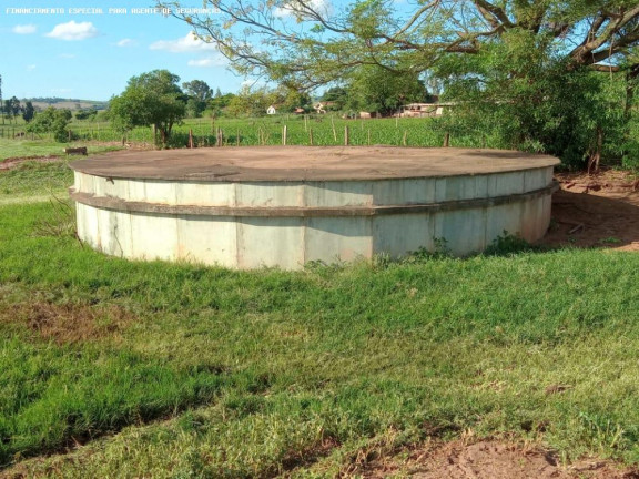 Imagem Chácara com 4 Quartos à Venda, 70.180 m² em Zona Rural - Flórida Imagem Chácara com 4 Quartos à Venda, 70.180 m² em Zona Rural - Flórida