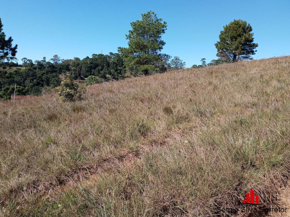 Imagem Terreno à Venda, 1.670 m² em Vale Encantado - Campos Do Jordão Imagem Terreno à Venda, 1.670 m² em Vale Encantado - Campos Do Jordão