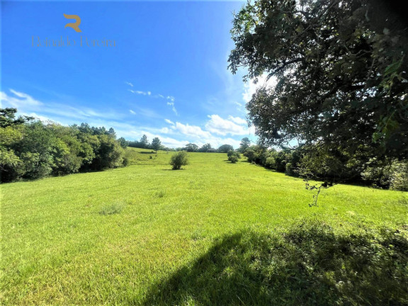 Imagem Chácara à Venda, 140.000 m² em Morungava - Gravataí Imagem Chácara à Venda, 140.000 m² em Morungava - Gravataí