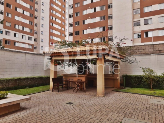 Imagem Apartamento com 2 Quartos à Venda, 54 m² em água Branca - São Paulo Imagem Apartamento com 2 Quartos à Venda, 54 m² em água Branca - São Paulo