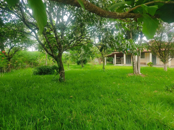 Imagem Chácara com 3 Quartos à Venda, 1 m² em Bairro Do Cercado - Araçoiaba Da Serra Imagem Chácara com 3 Quartos à Venda, 1 m² em Bairro Do Cercado - Araçoiaba Da Serra