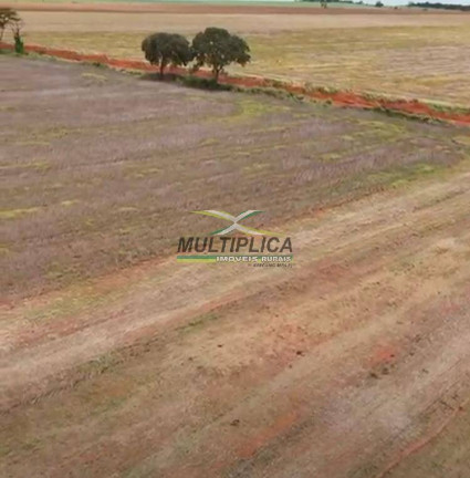 Fazenda à Venda, 57 m² em Monte Alegre De Minas